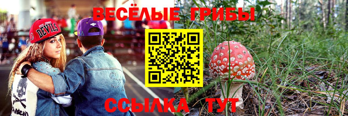 Верхняя Салда  Галлюциногенные грибы Psilocybine cubensis  Вход с VPN 