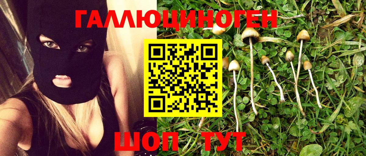 Псилоцибиновые грибы MAGIC MUSHROOMS Верхняя Салда
