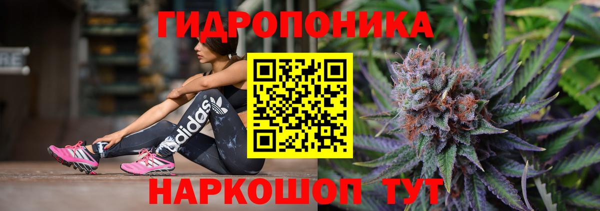 Каннабис планчик  Канабис White Widow  Вход с VPN  МАРИХУАНА сатива  Верхняя Салда  Конопля семена 